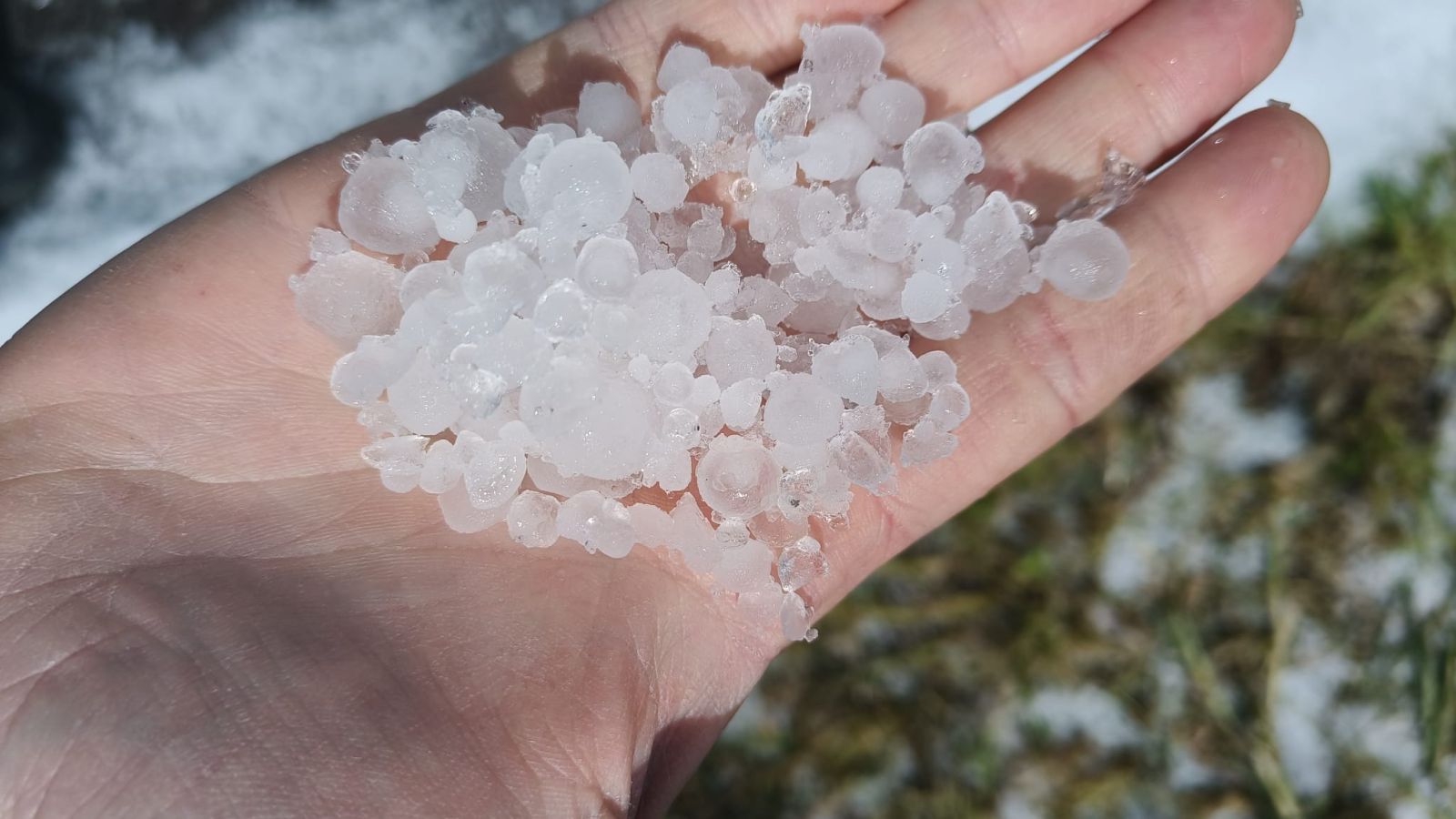 GRANDINATA A NOVA SIRI E ROTONDELLA, IL COORDINAMENTO AGRICOLTORI LUCANI: “LA REGIONE INTERVENGA SUBITO"